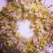 きのこ☆プロフ必読☆の画像