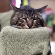 いーちゃん
