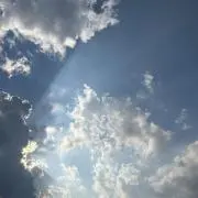 ソラモヨウの画像