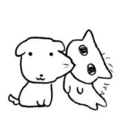 ぽむの画像