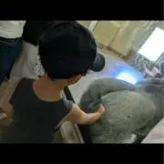 なーすだよー。即日発送可。値引き可能！の画像