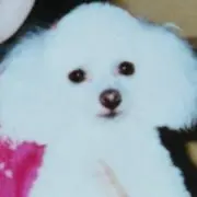 ユミメリー ✈の画像