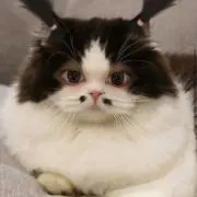 re