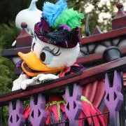 ちさき✩プロフ必読の画像