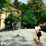 Yの画像