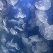 mn♬★の画像