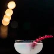 ぽけぽけぽけぽけの画像