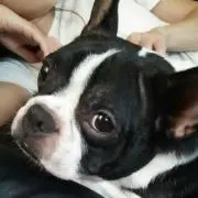 ゼン