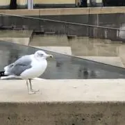 TM  ※プロフ読んで頂けたら嬉しいですの画像