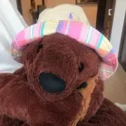 ひらかずの画像