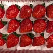 ももんがの画像