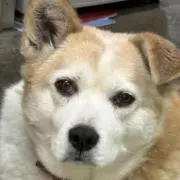 MINT CONDITIONの画像