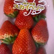 まにゃの画像