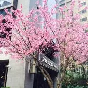 リカの画像