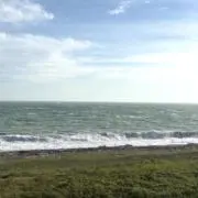 Yの画像