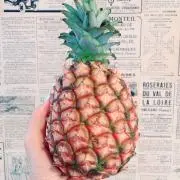 K.M.A.Kの画像
