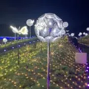 ちっちの画像
