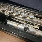 Suiの画像