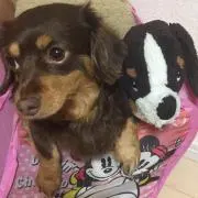 ハッピーマン☆まとめて購入で値下げ中‼️の画像