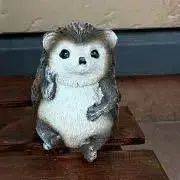 まなみの画像