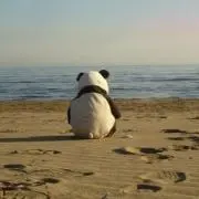 パンダぱん子の画像
