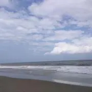 たるの画像