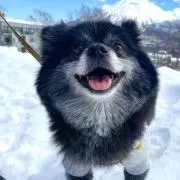 はるちゃん/値下げ交渉◎の画像