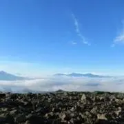 りーの画像