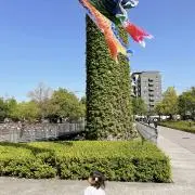 Yuの画像