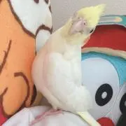 えむの画像