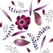 minの画像