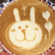 かふぇらての画像