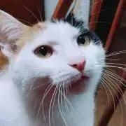 で〜