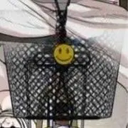 れもん