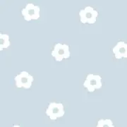 ohanaの画像