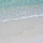 kkkの画像