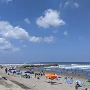 Shoの画像