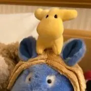 蒼凪の画像