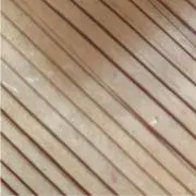 児玉の画像