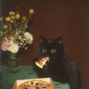 Yの画像