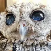 なまこの画像