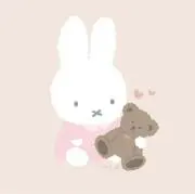 rの画像