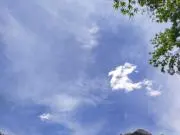 そらとくもの画像