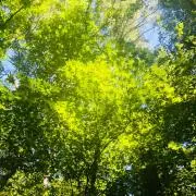 ポートランドの画像