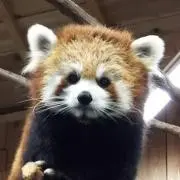 MuuCoの画像