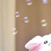 りすぴょんの画像