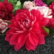 ☆YSHT☆の画像