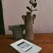 sen。