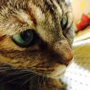 なつ✽プロフィール必読の画像