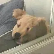 永眠